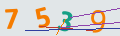 verifycode